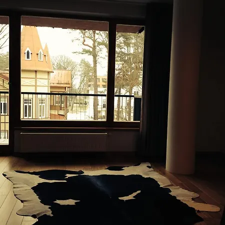 Apartment In Druskininkai Lithuania Room photo