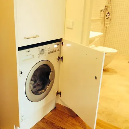 Apartment In Druskininkai Lithuania Room photo