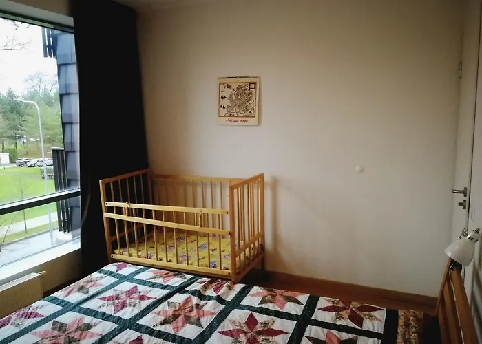 Apartment In Druskininkai Lithuania