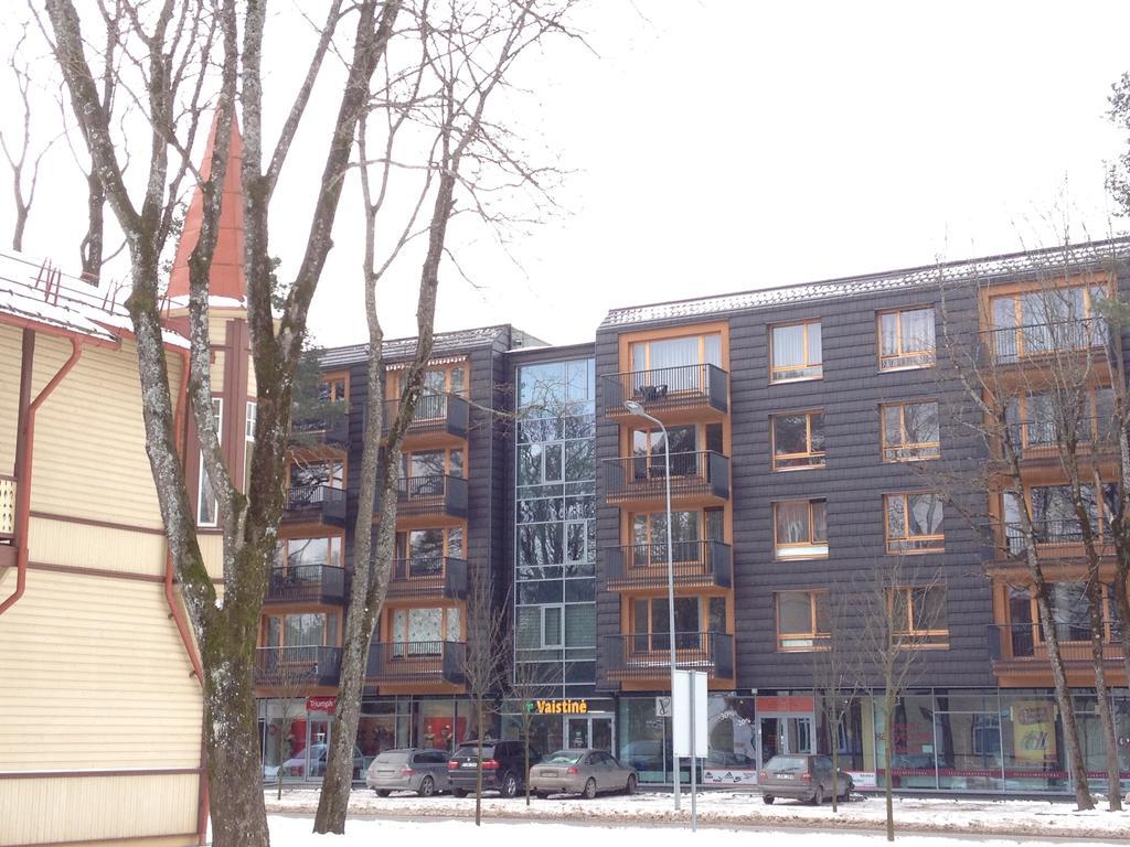 Apartment In Lithuania Druskininkai